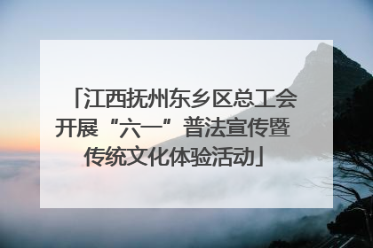 江西抚州东乡区总工会开展“六一”普法宣传暨传统文化体验活动