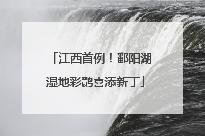 江西首例！鄱阳湖湿地彩鹮喜添新丁