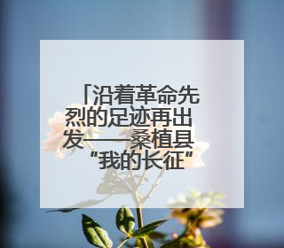 沿着革命先烈的足迹再出发——桑植县“我的长征”红色研学活动启动
