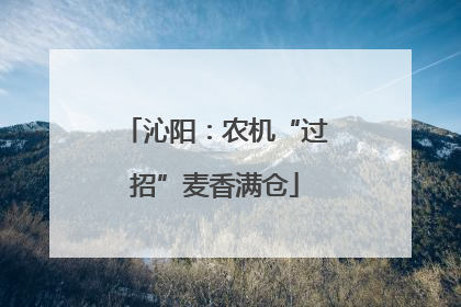 沁阳：农机“过招”麦香满仓