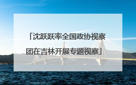 沈跃跃率全国政协视察团在吉林开展专题视察