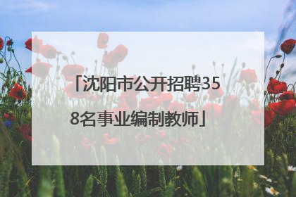沈阳市公开招聘358名事业编制教师