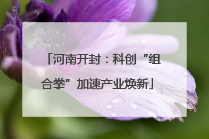 河南开封：科创“组合拳”加速产业焕新