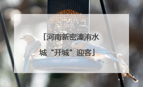河南新密溱洧水城“开城”迎客