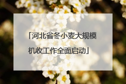 河北省冬小麦大规模机收工作全面启动
