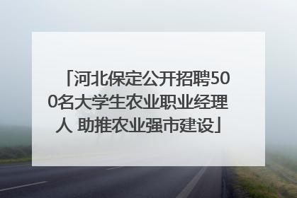 河北保定公开招聘500名大学生农业职业经理人 助推农业强市建设