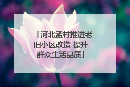 河北孟村推进老旧小区改造 提升群众生活品质
