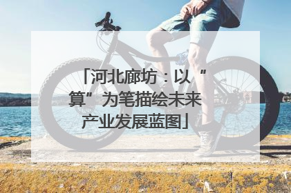 河北廊坊：以“算”为笔描绘未来产业发展蓝图