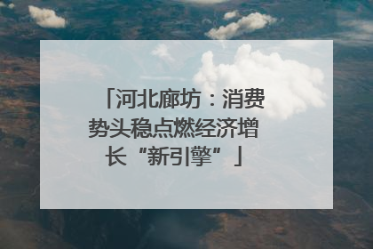 河北廊坊：消费势头稳点燃经济增长“新引擎”