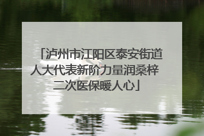 泸州市江阳区泰安街道人大代表新阶力量润桑梓 二次医保暖人心