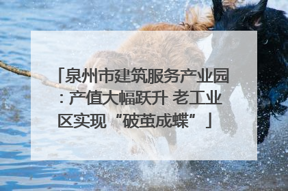 泉州市建筑服务产业园：产值大幅跃升 老工业区实现“破茧成蝶”