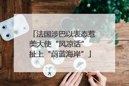 法国涉巴以表态惹美大使“风凉话” 扯上“蔚蓝海岸”