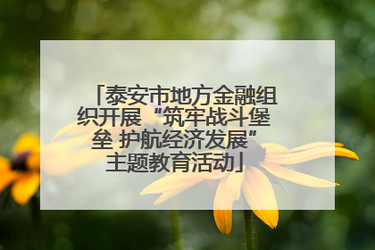 泰安市地方金融组织开展“筑牢战斗堡垒 护航经济发展”主题教育活动