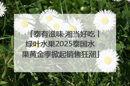 泰有滋味·湘当好吃丨绿叶水果2025泰国水果黄金季掀起销售狂潮