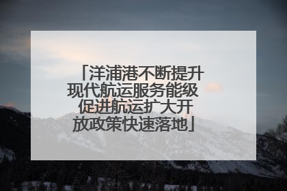 洋浦港不断提升现代航运服务能级 促进航运扩大开放政策快速落地