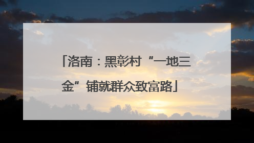 洛南：黑彰村“一地三金”铺就群众致富路