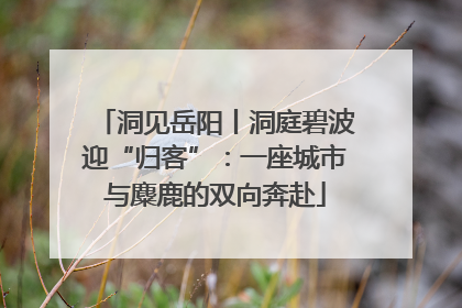 洞见岳阳丨洞庭碧波迎“归客”：一座城市与麋鹿的双向奔赴