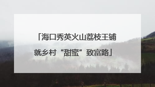 海口秀英火山荔枝王铺就乡村“甜蜜”致富路