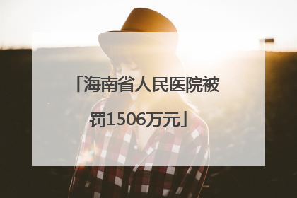 海南省人民医院被罚1506万元