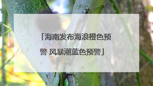 海南发布海浪橙色预警 风暴潮蓝色预警