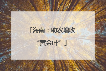 海南：助农增收 “黄金叶”