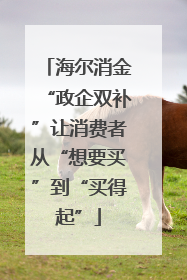 海尔消金“政企双补”让消费者从“想要买”到“买得起”