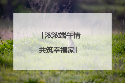 浓浓端午情 共筑幸福家