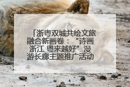 浙粤双城共绘文旅融合新画卷：“诗画浙江 粤来越好”漫游长廊主题推广活动在广州花城汇启幕