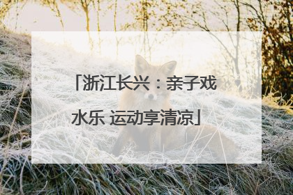 浙江长兴：亲子戏水乐 运动享清凉