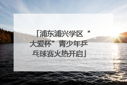 浦东浦兴学区“大爱杯”青少年乒乓球赛火热开启