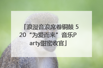 浪漫音浪席卷铜鼓 520“为爱而来”音乐Party甜蜜收官