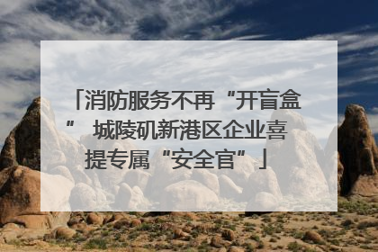 消防服务不再“开盲盒” 城陵矶新港区企业喜提专属“安全官”