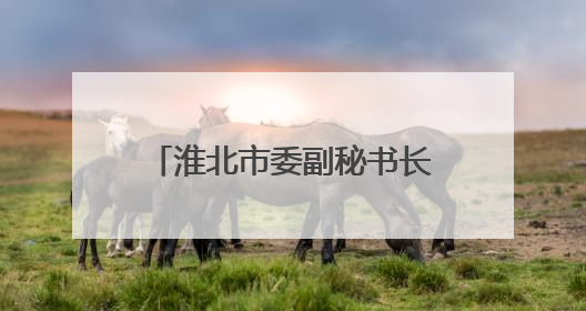 淮北市委副秘书长谢谢出任淮北市国防动员办公室主任