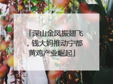 深山金凤振翅飞，钱大妈推动宁都黄鸡产业崛起