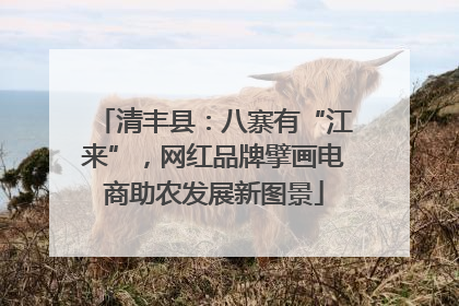 清丰县：八寨有“江来”，网红品牌擘画电商助农发展新图景