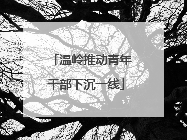 温岭推动青年干部下沉一线