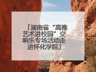 湖南省“高雅艺术进校园”交响乐专场活动走进怀化学院