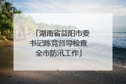 湖南省益阳市委书记陈竞督导检查全市防汛工作