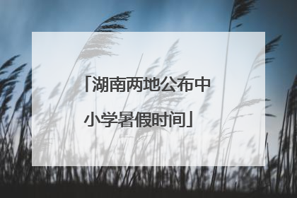 湖南两地公布中小学暑假时间