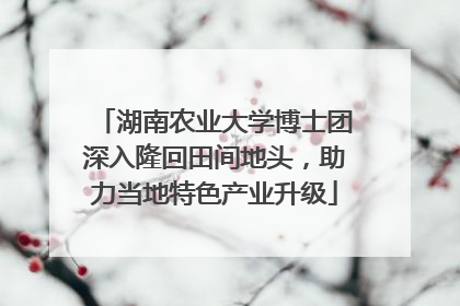 湖南农业大学博士团深入隆回田间地头，助力当地特色产业升级