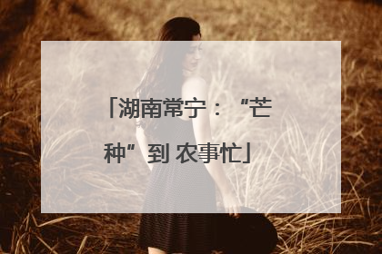 湖南常宁：“芒种”到 农事忙