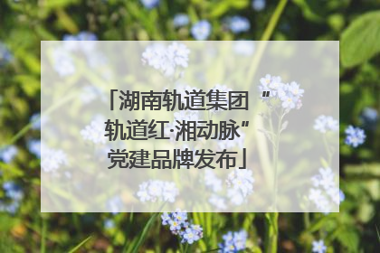湖南轨道集团“轨道红·湘动脉”党建品牌发布