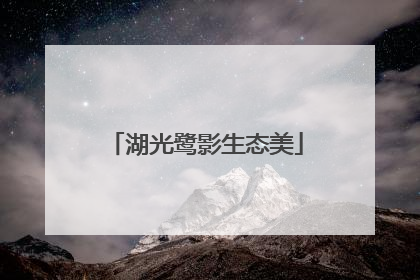 湖光鹭影生态美