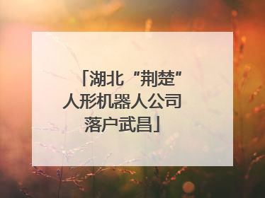 湖北“荆楚”人形机器人公司落户武昌