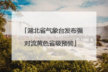 湖北省气象台发布强对流黄色省级预警