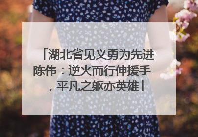 湖北省见义勇为先进陈伟：逆火而行伸援手，平凡之躯亦英雄