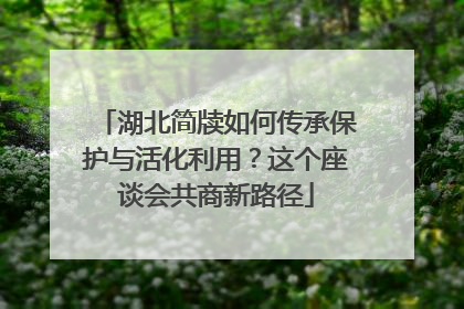 湖北简牍如何传承保护与活化利用？这个座谈会共商新路径