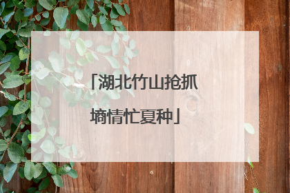 湖北竹山抢抓墒情忙夏种