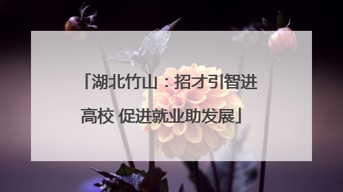 湖北竹山：招才引智进高校 促进就业助发展