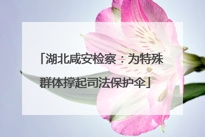湖北咸安检察：为特殊群体撑起司法保护伞